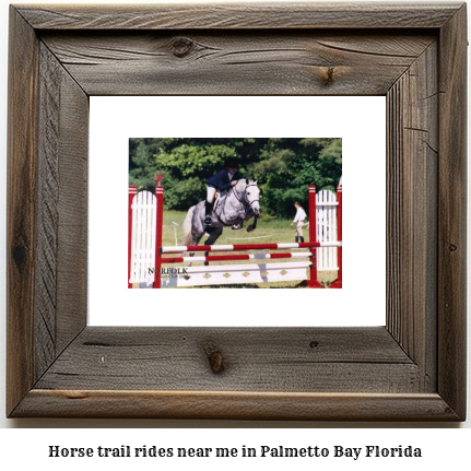 horse trail rides near me in Palmetto Bay, Florida